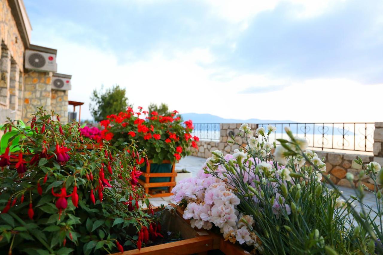 Vila Dena Vlorë Εξωτερικό φωτογραφία