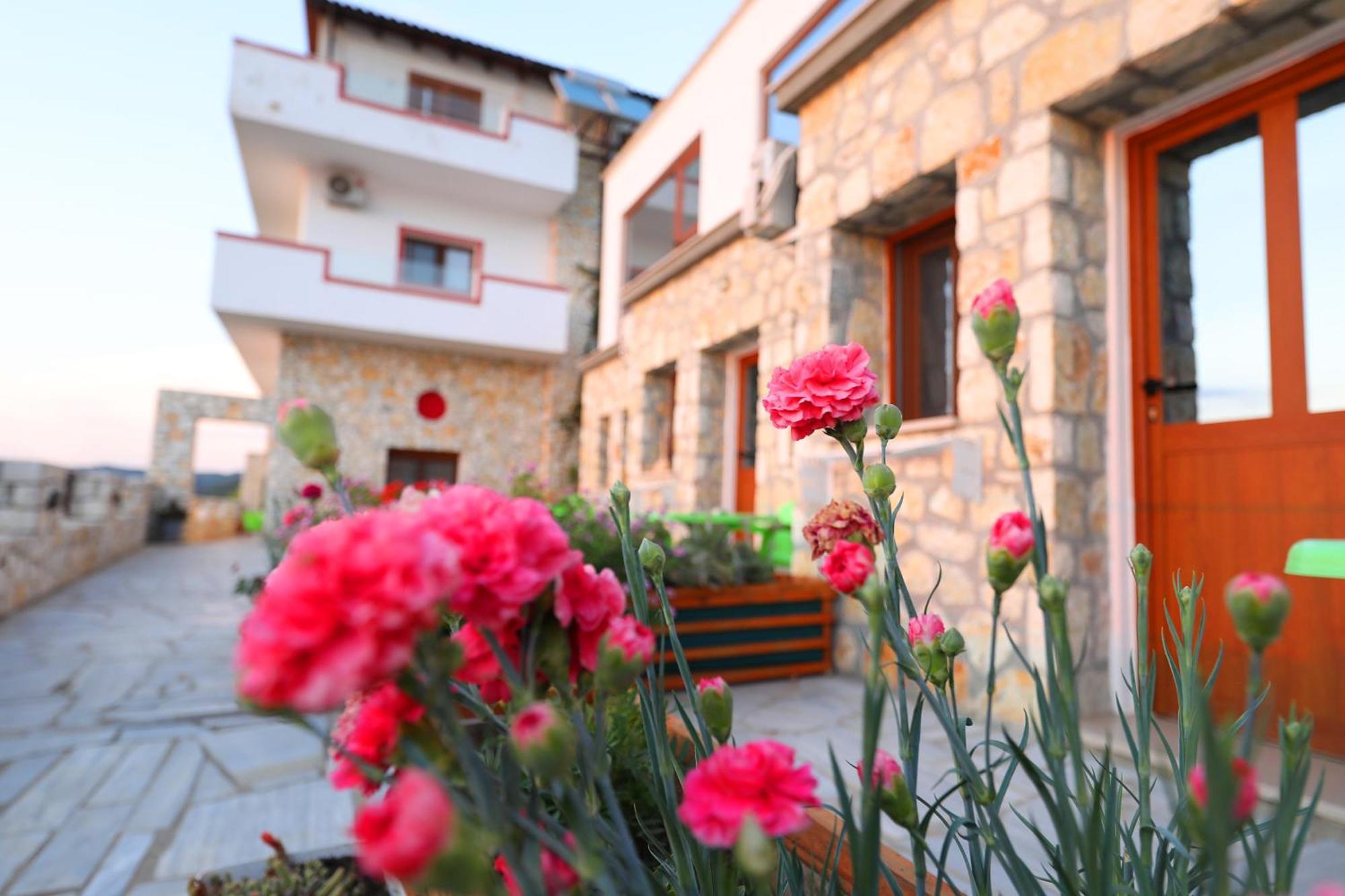 Vila Dena Vlorë Εξωτερικό φωτογραφία